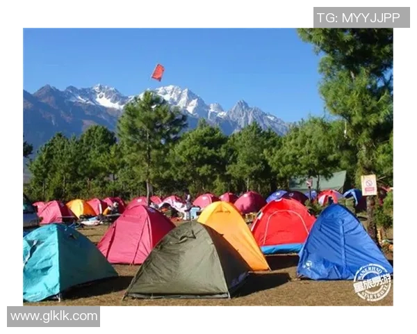 南京与西安极限运动队赛后复盘探讨灵活性表现与策略对比分析