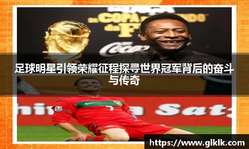 星空综合·(中国)官方网站