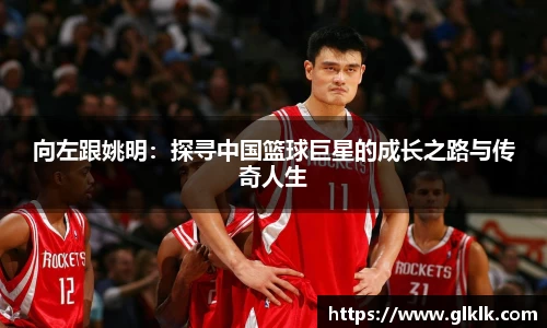 向左跟姚明：探寻中国篮球巨星的成长之路与传奇人生